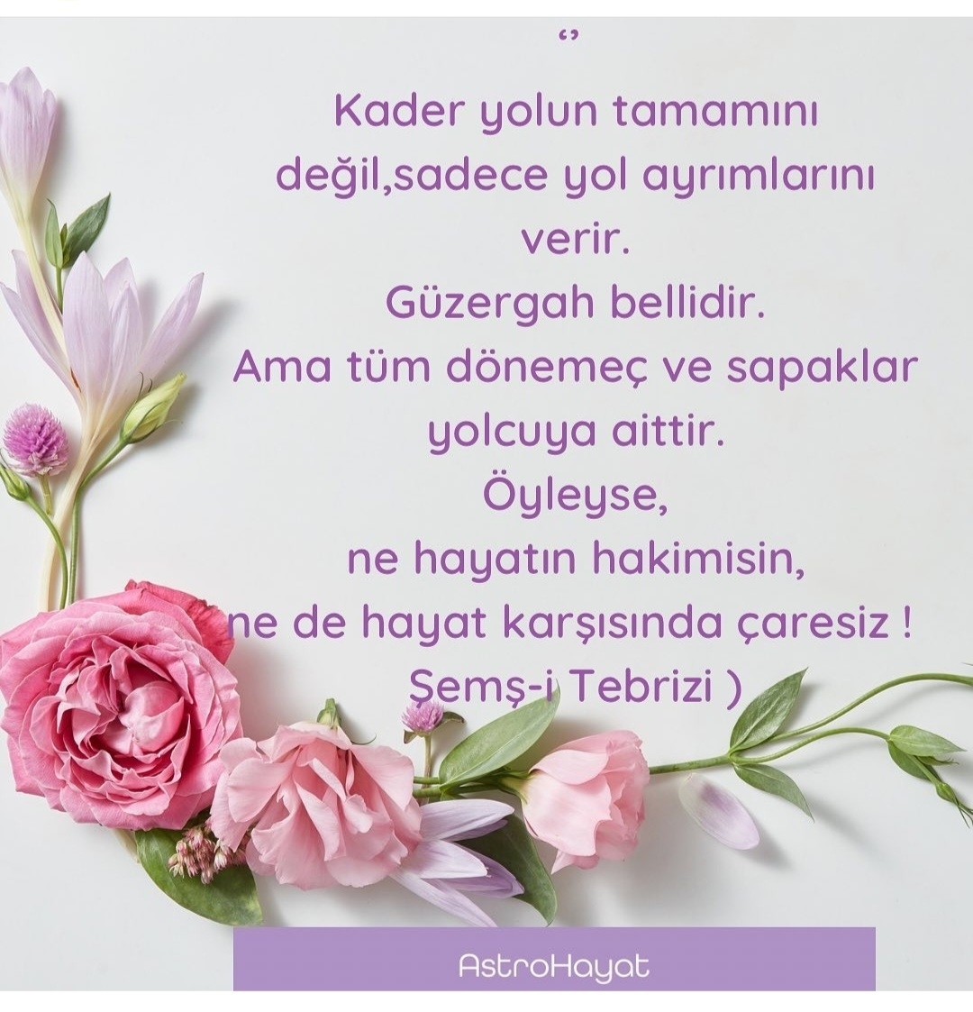 T C Yıldız