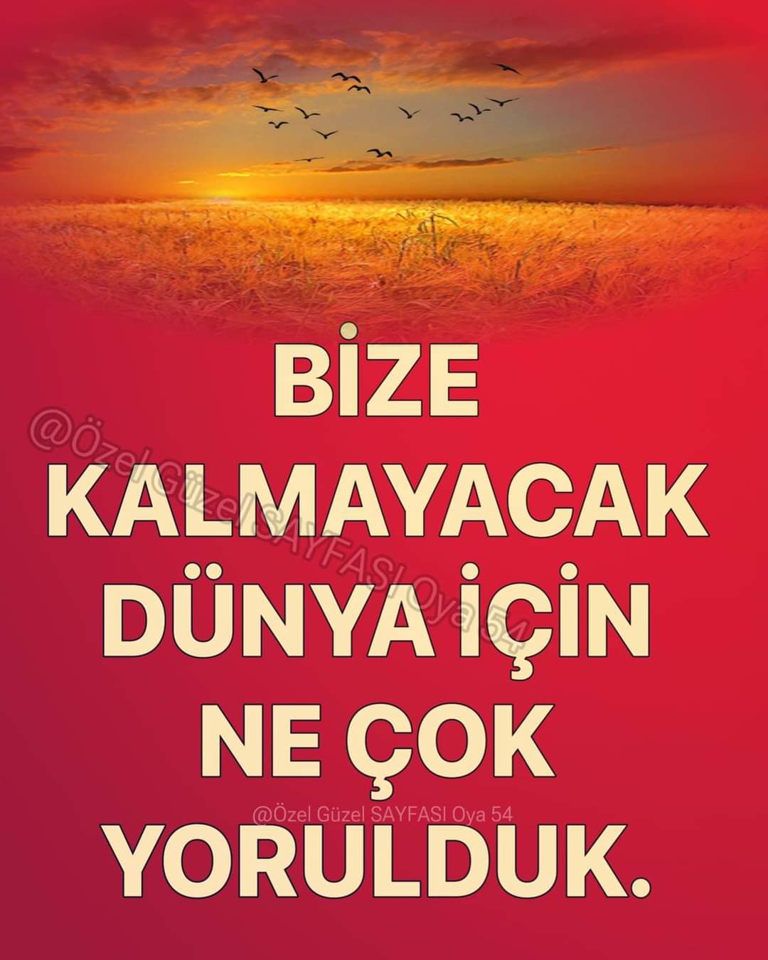 Melek
