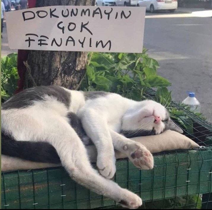Yavuz