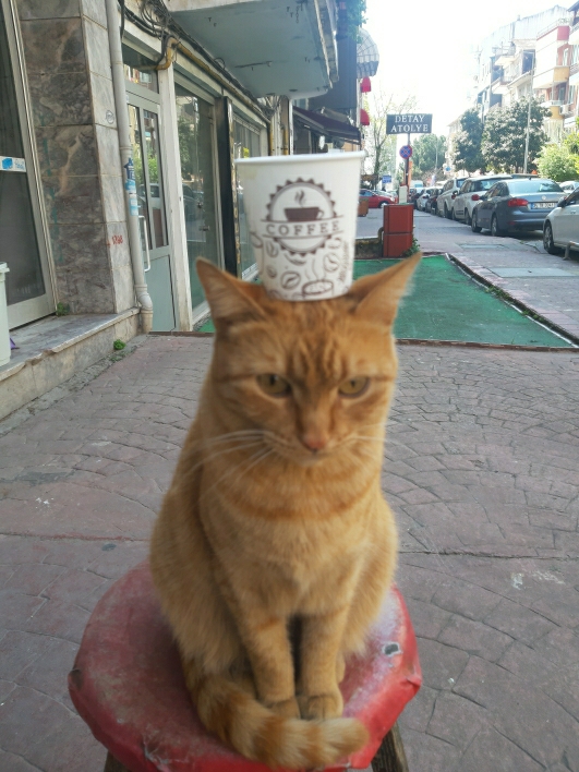 Cüneyt
