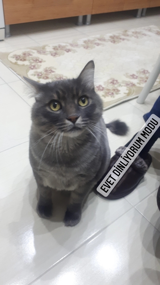 Zeynep