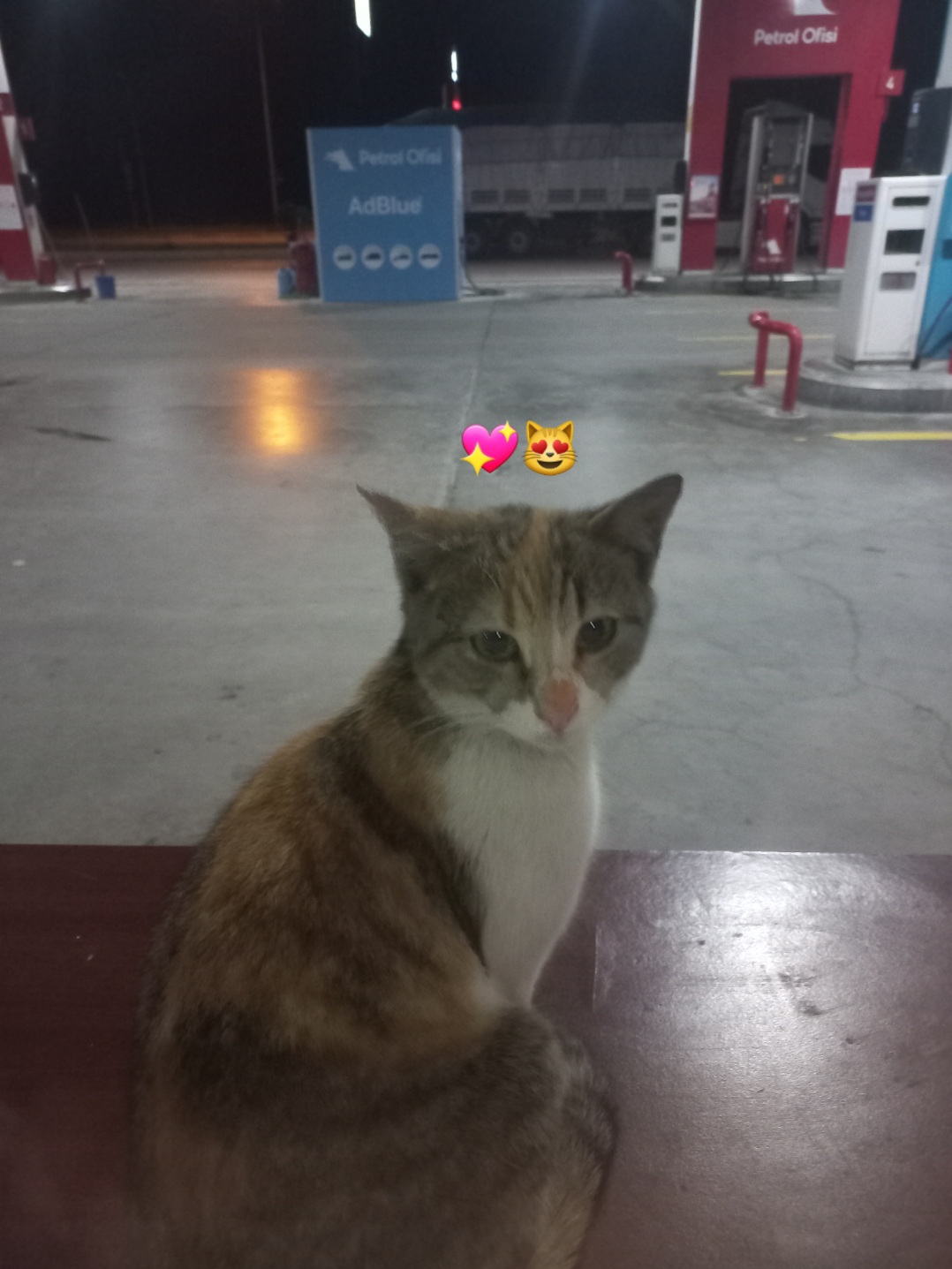 TC