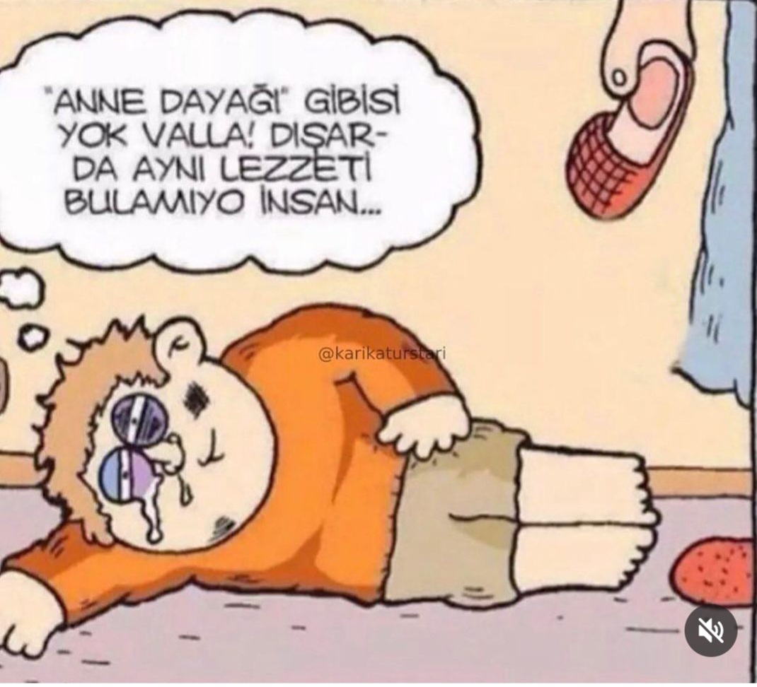 T C Yıldız