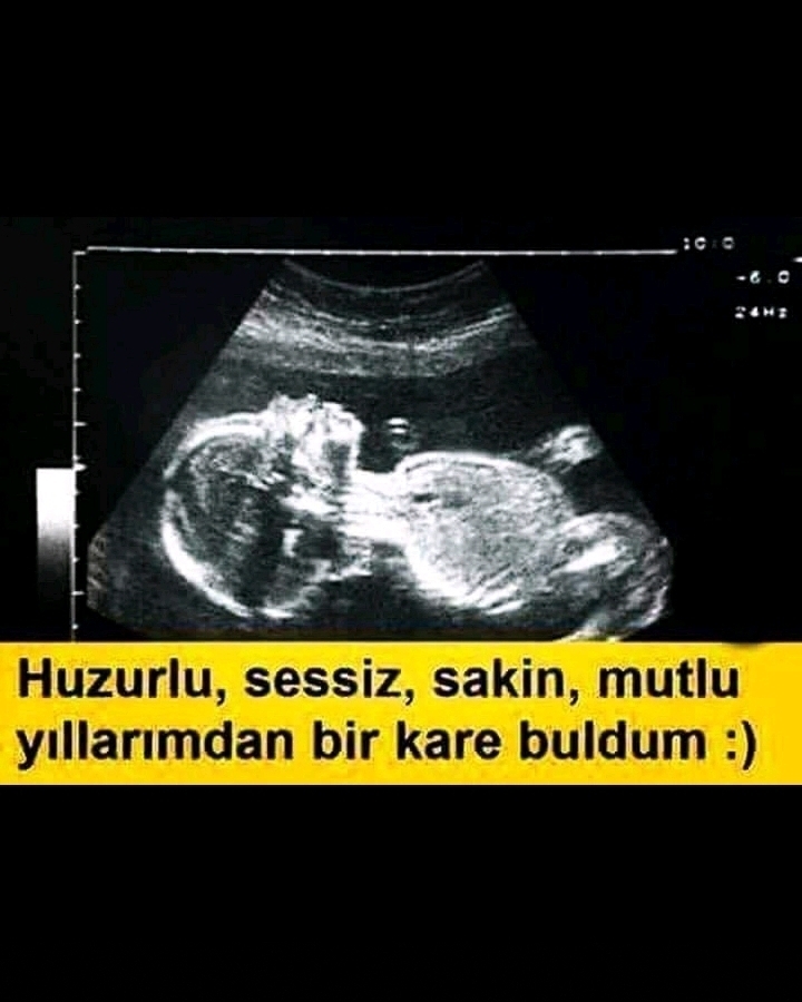 Şenol
