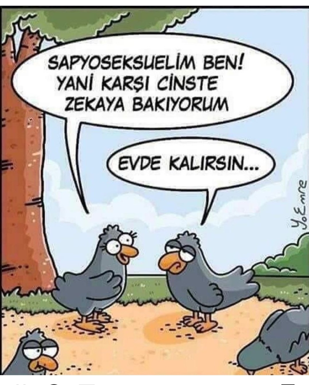 T C Yıldız