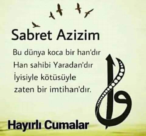 Asa