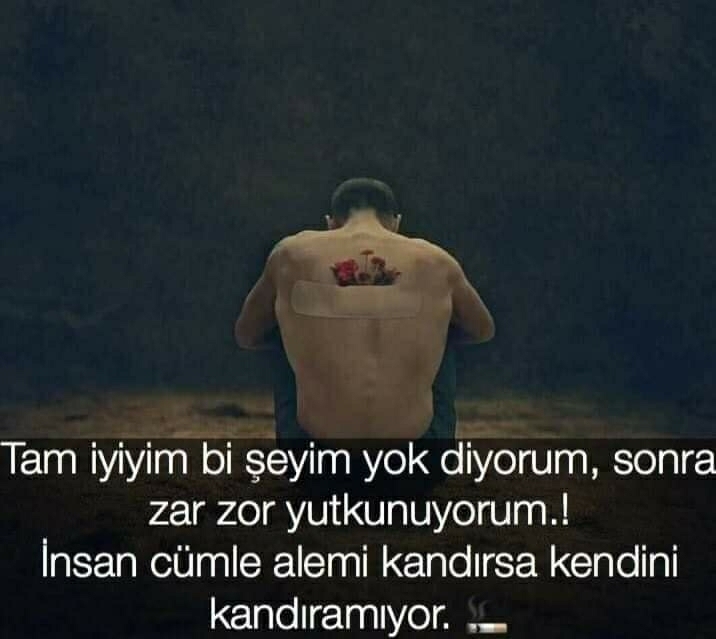 Alp