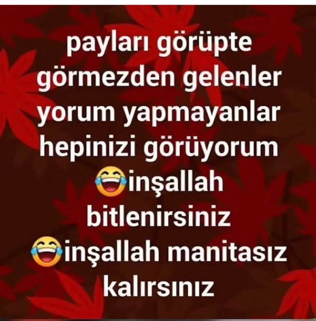 Aynur