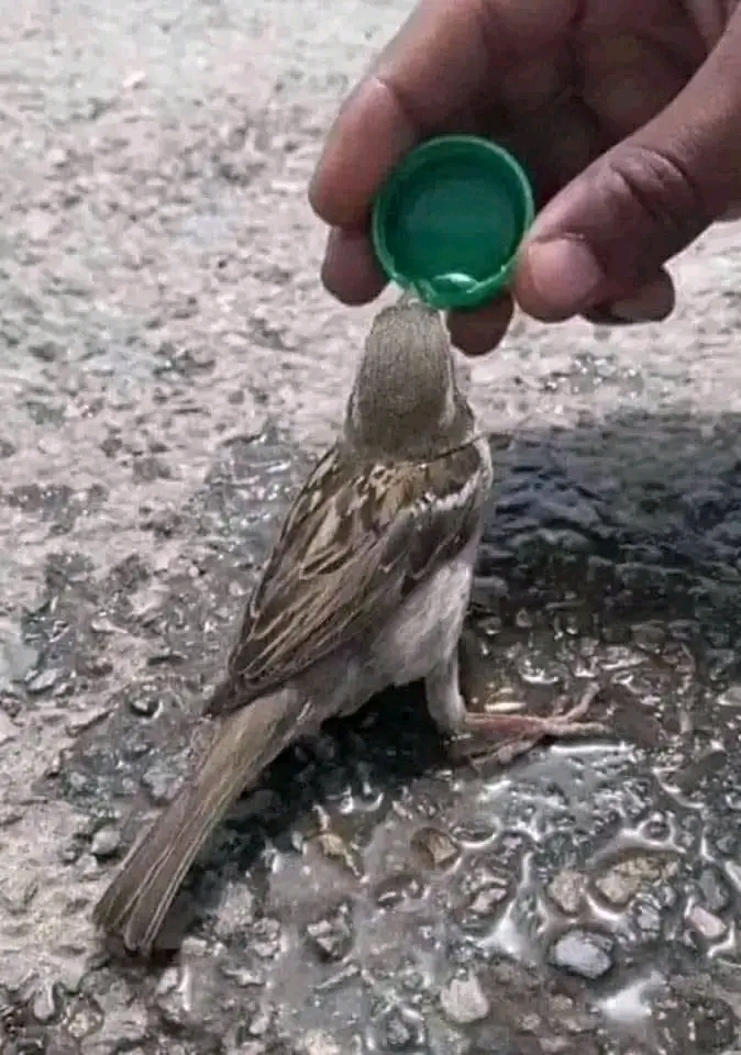 Uğur