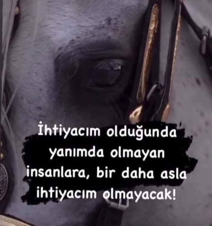 Hülya