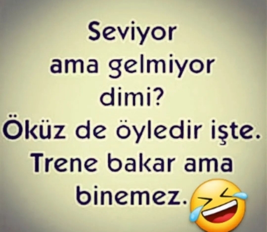 Aynur