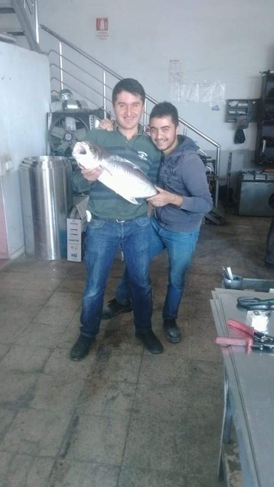 Habip