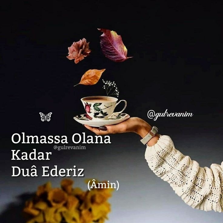 Derya
