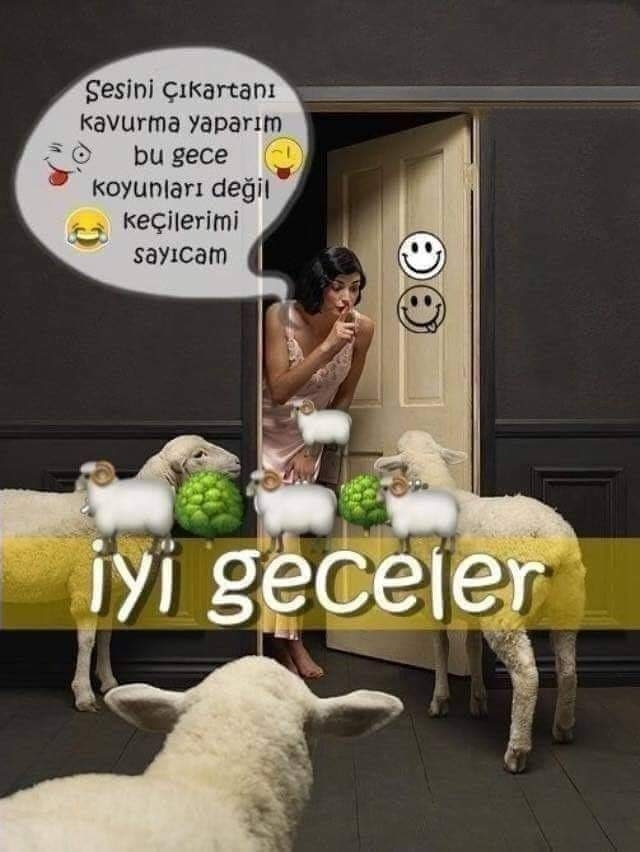Şaziment