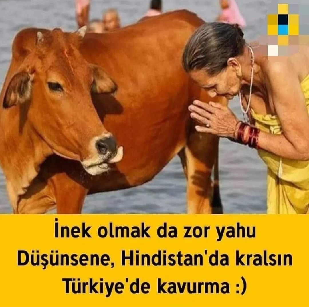 Zehra