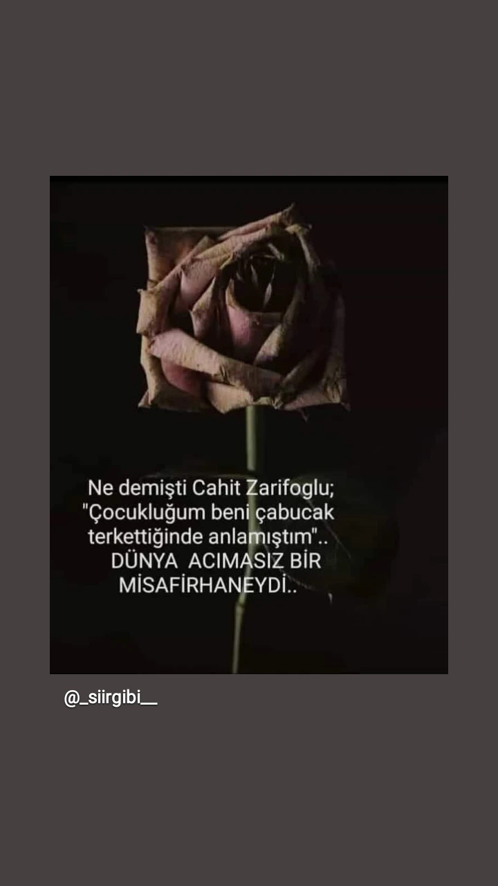 gamze