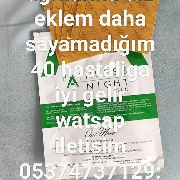 Mahmut