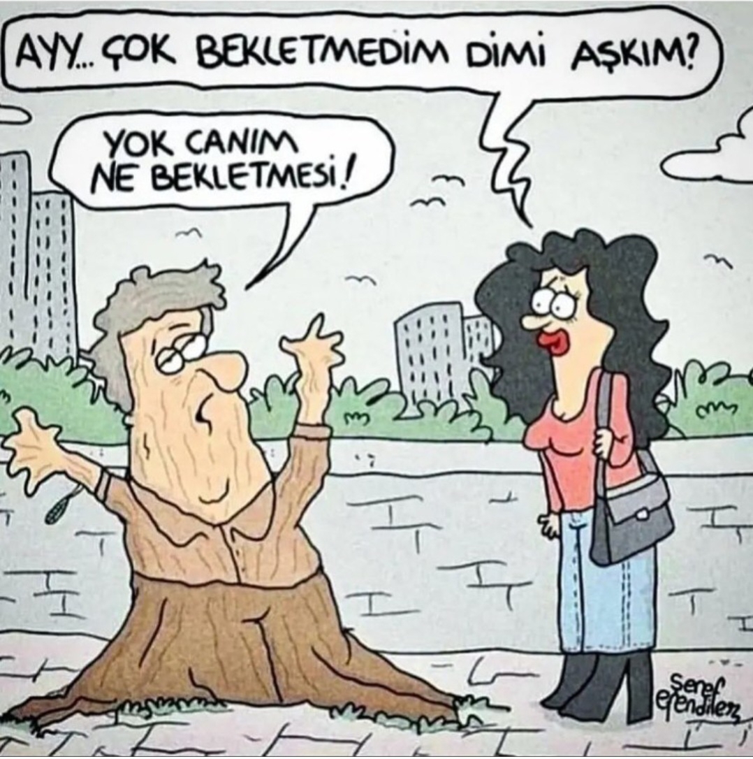 T C Yıldız