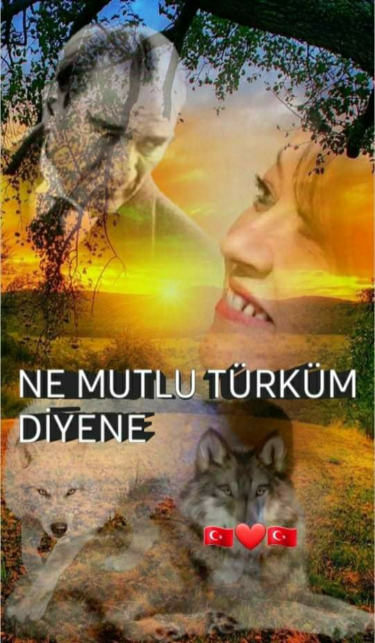 Aysun