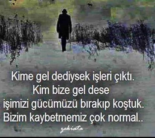 Doğann