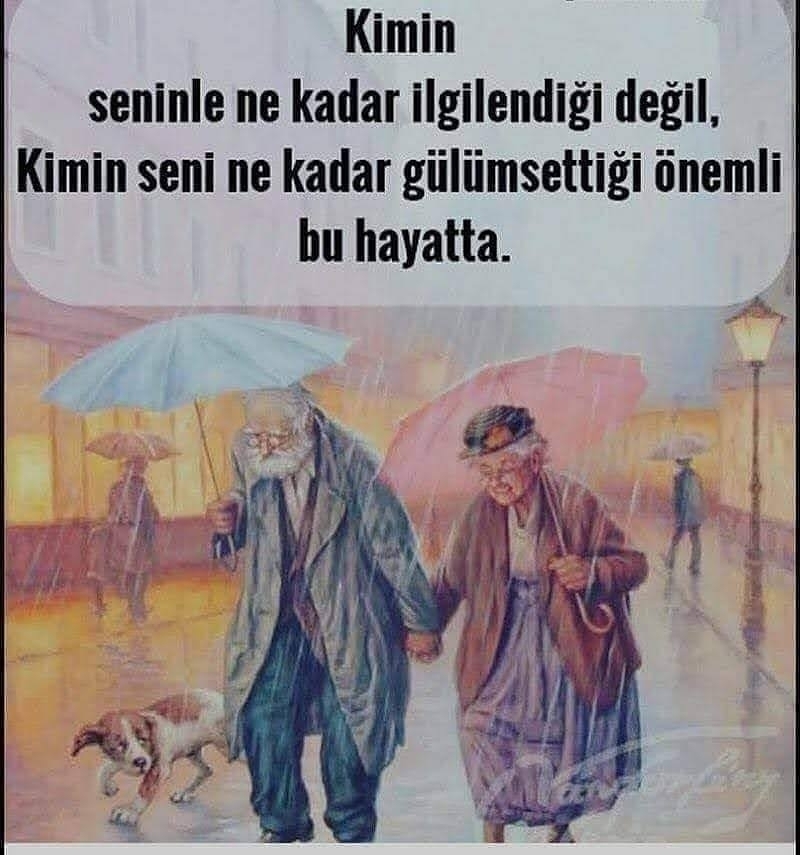 Doğan