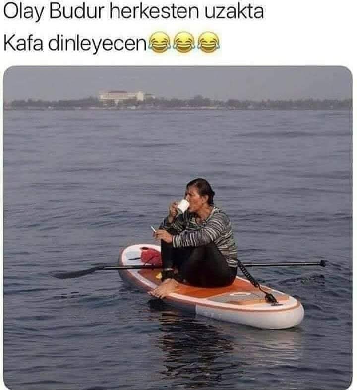 Varol