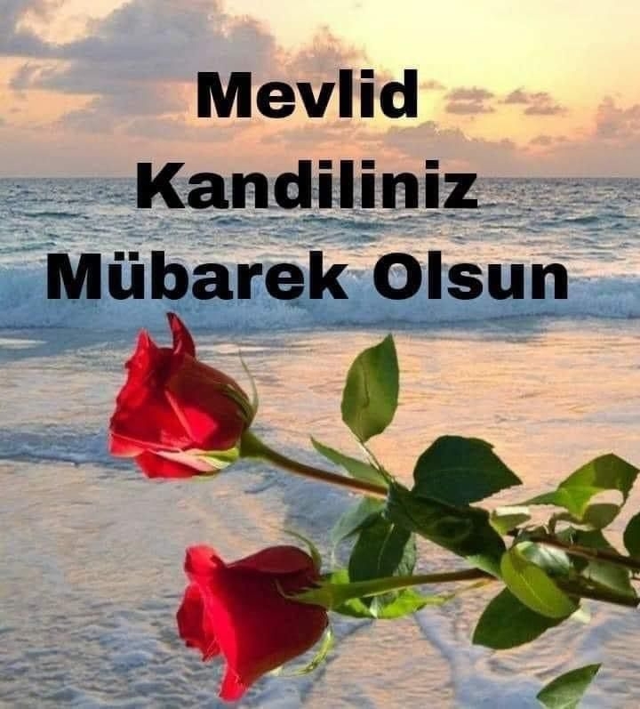 Tulin