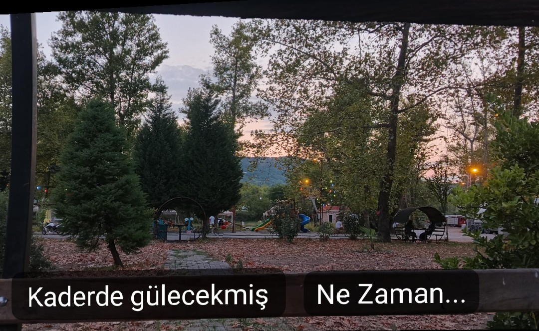 Ayşe