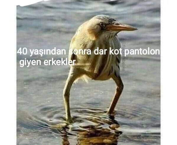 Deniz