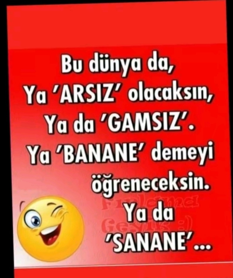 Aynur