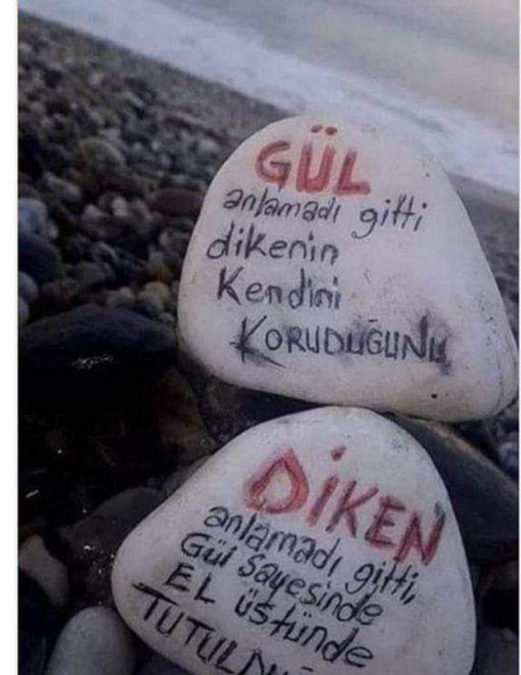 Seval