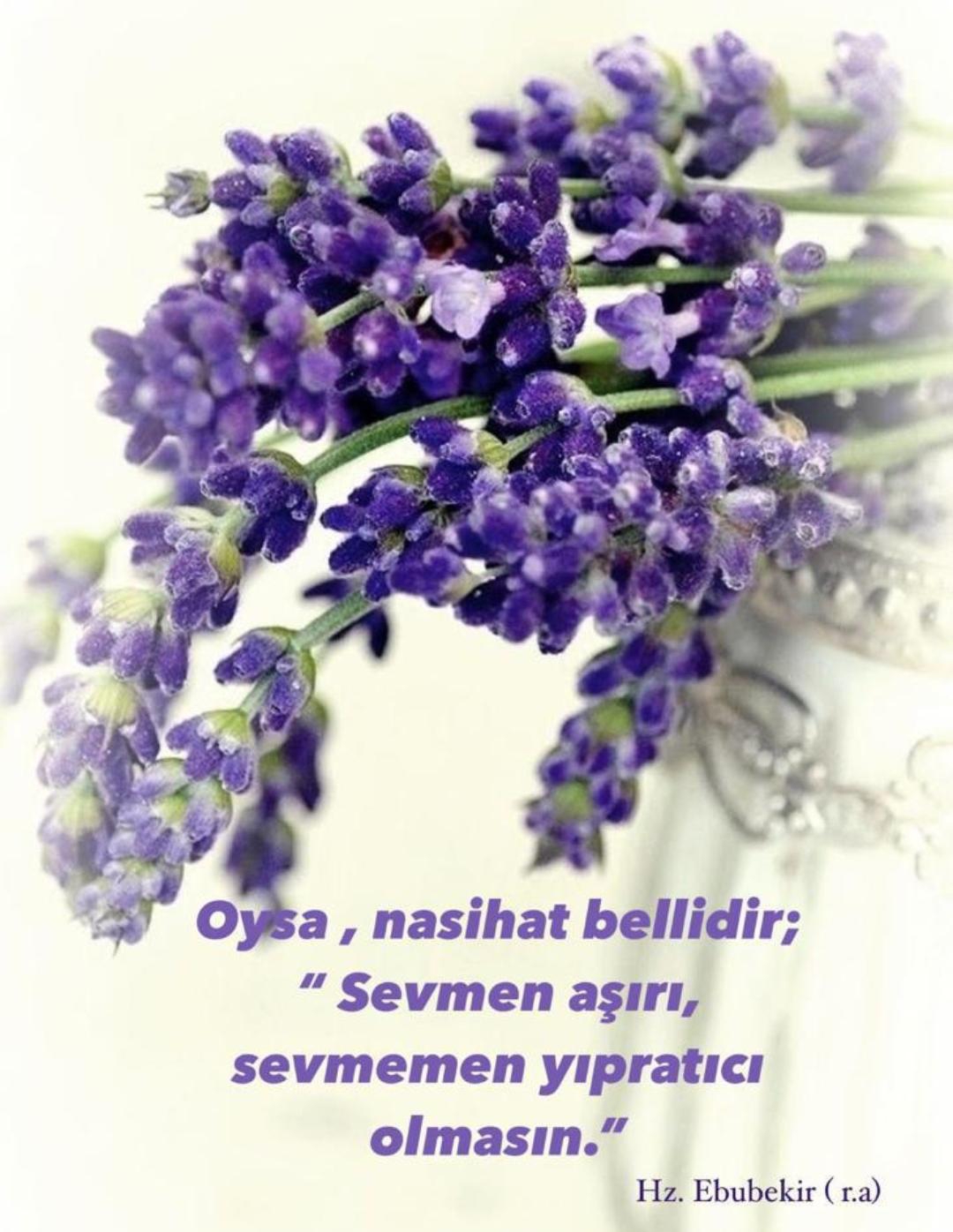 Beyaz