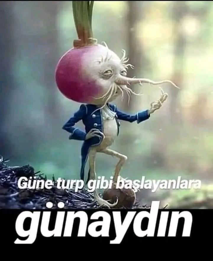 Uğur