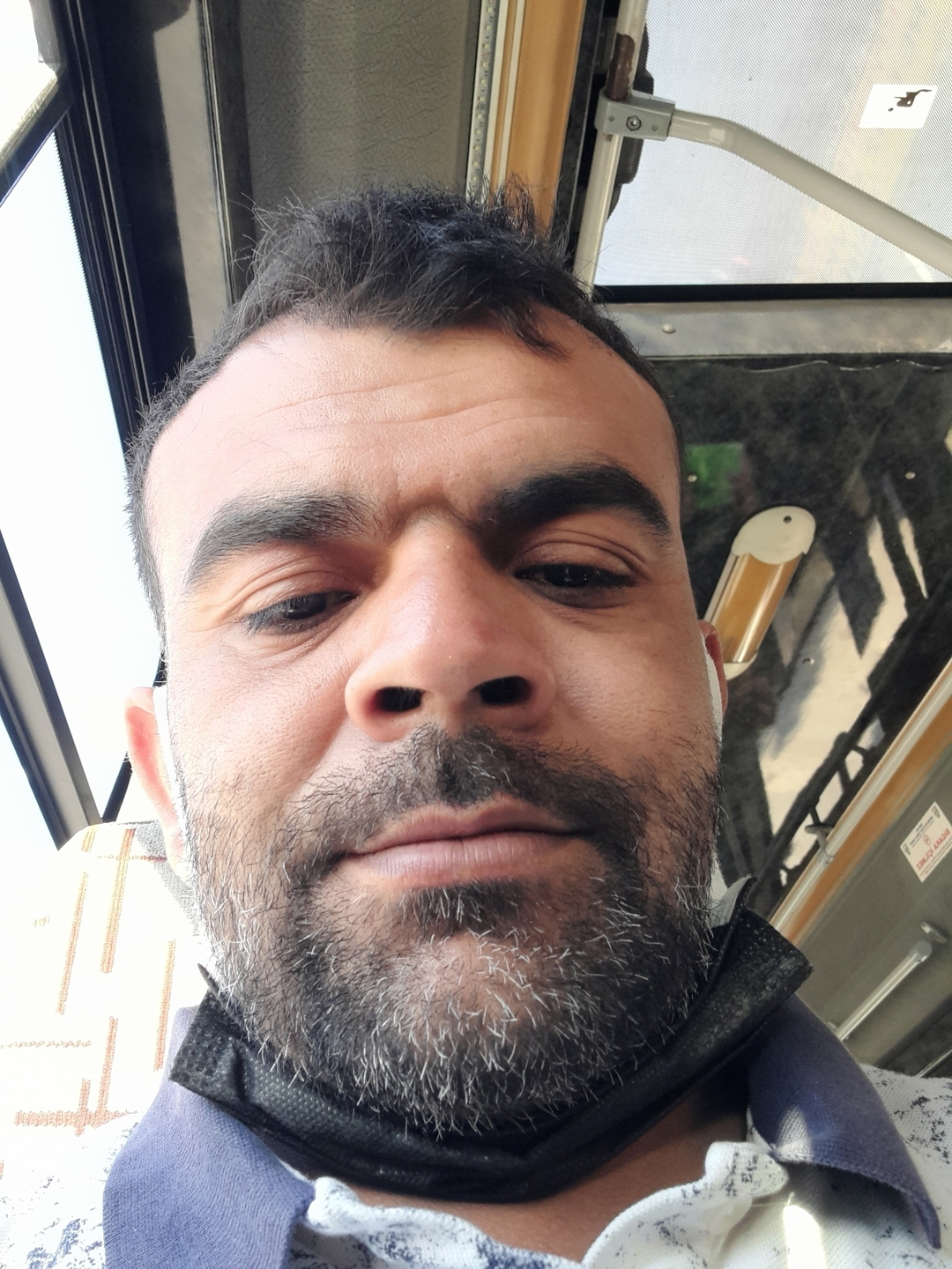 Ferdi