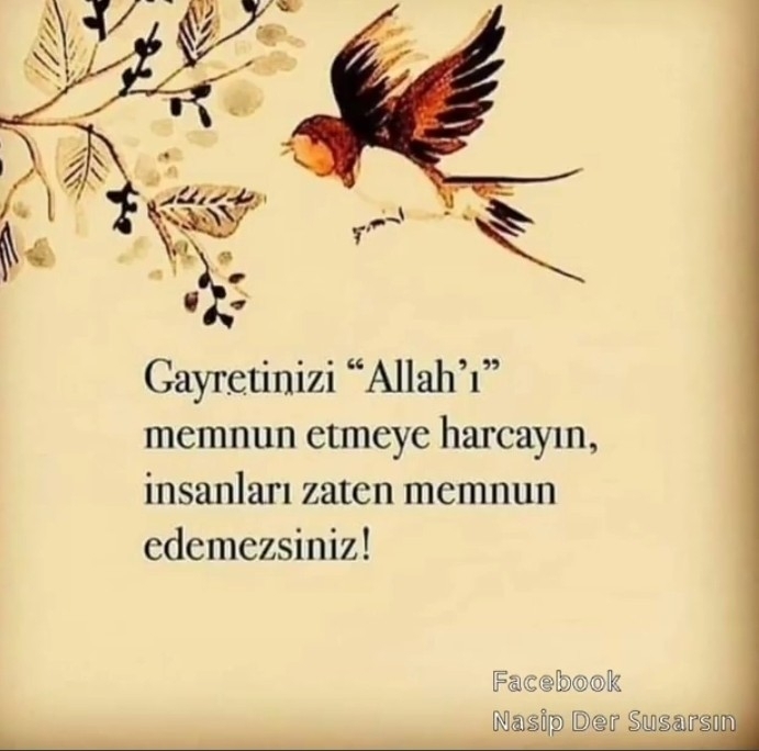 Nilay