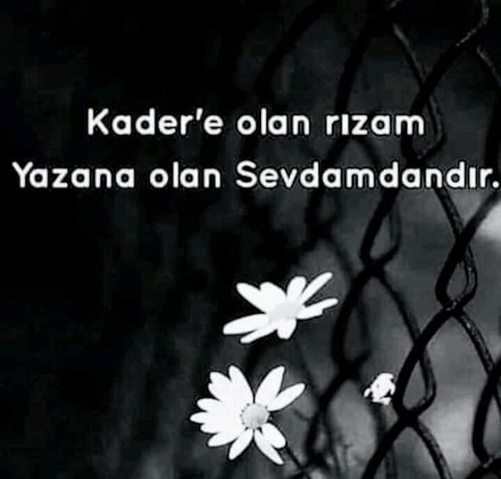 Deniz