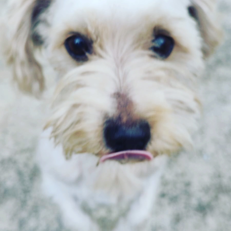 Telma