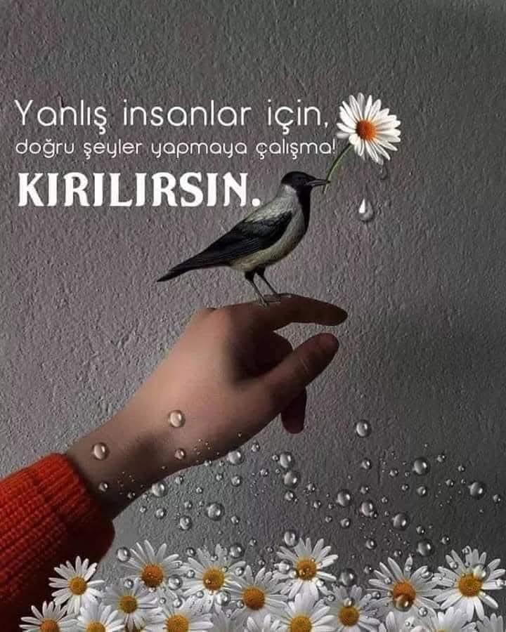 Zeynep