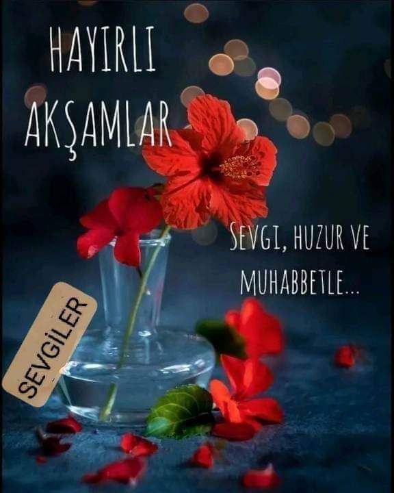 Kadife