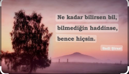 Nur
