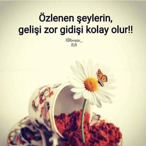Nur