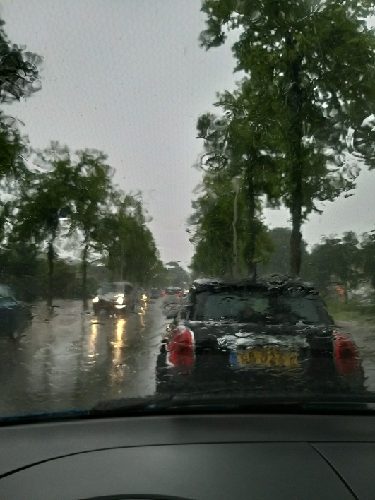 Hava