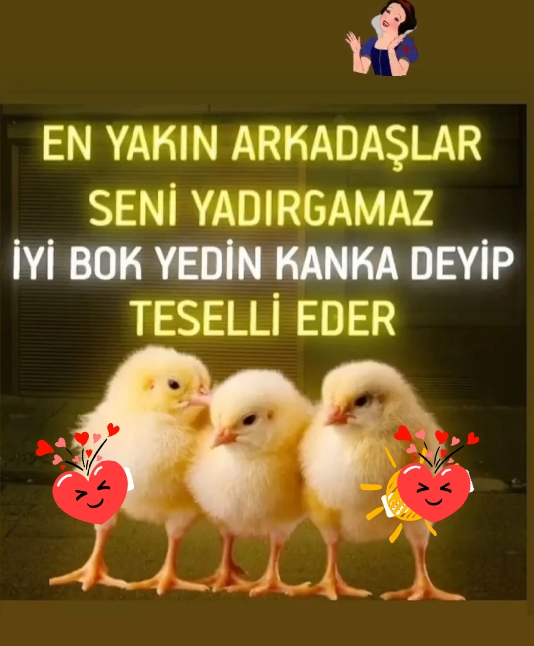 Petek