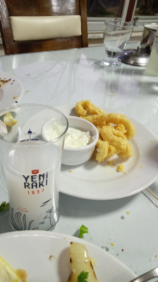 Şahinler