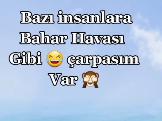 Aynur