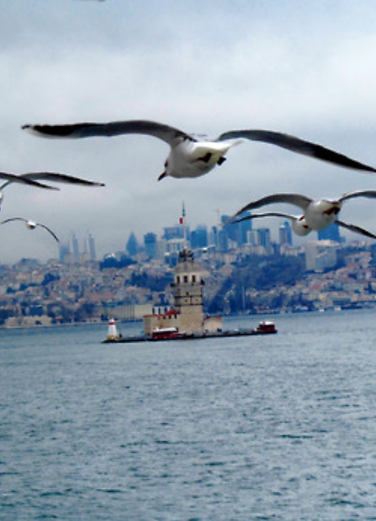 Yildiz