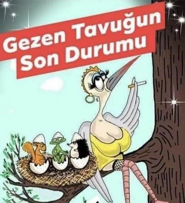 Serdar