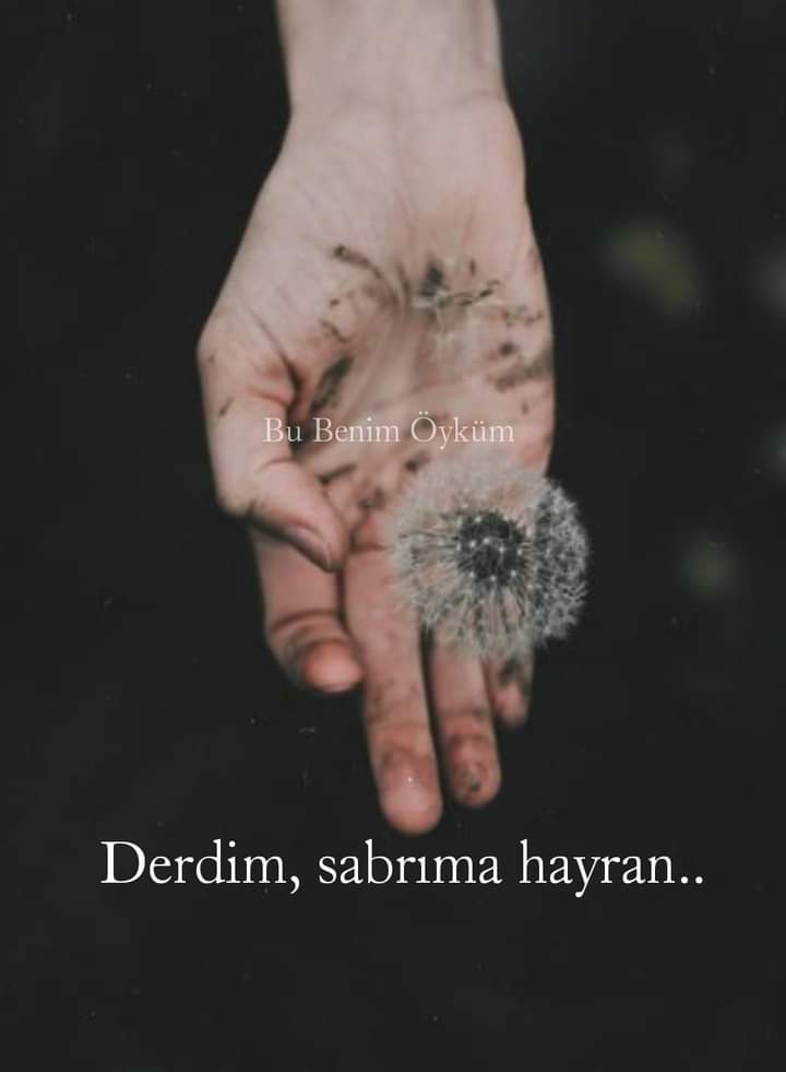 Ayşegül