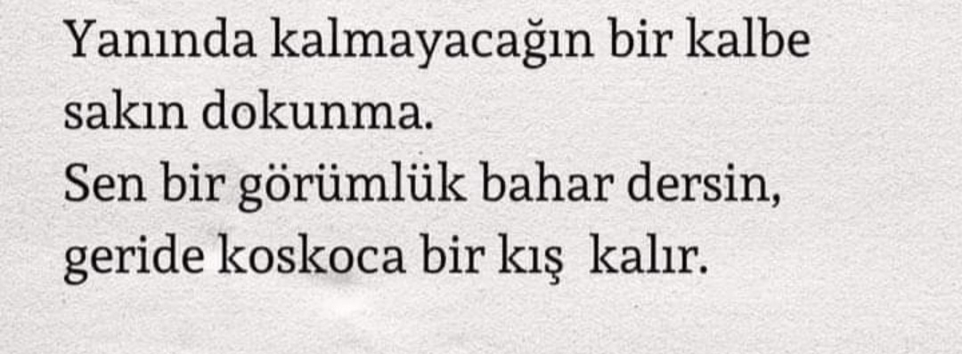 Asil