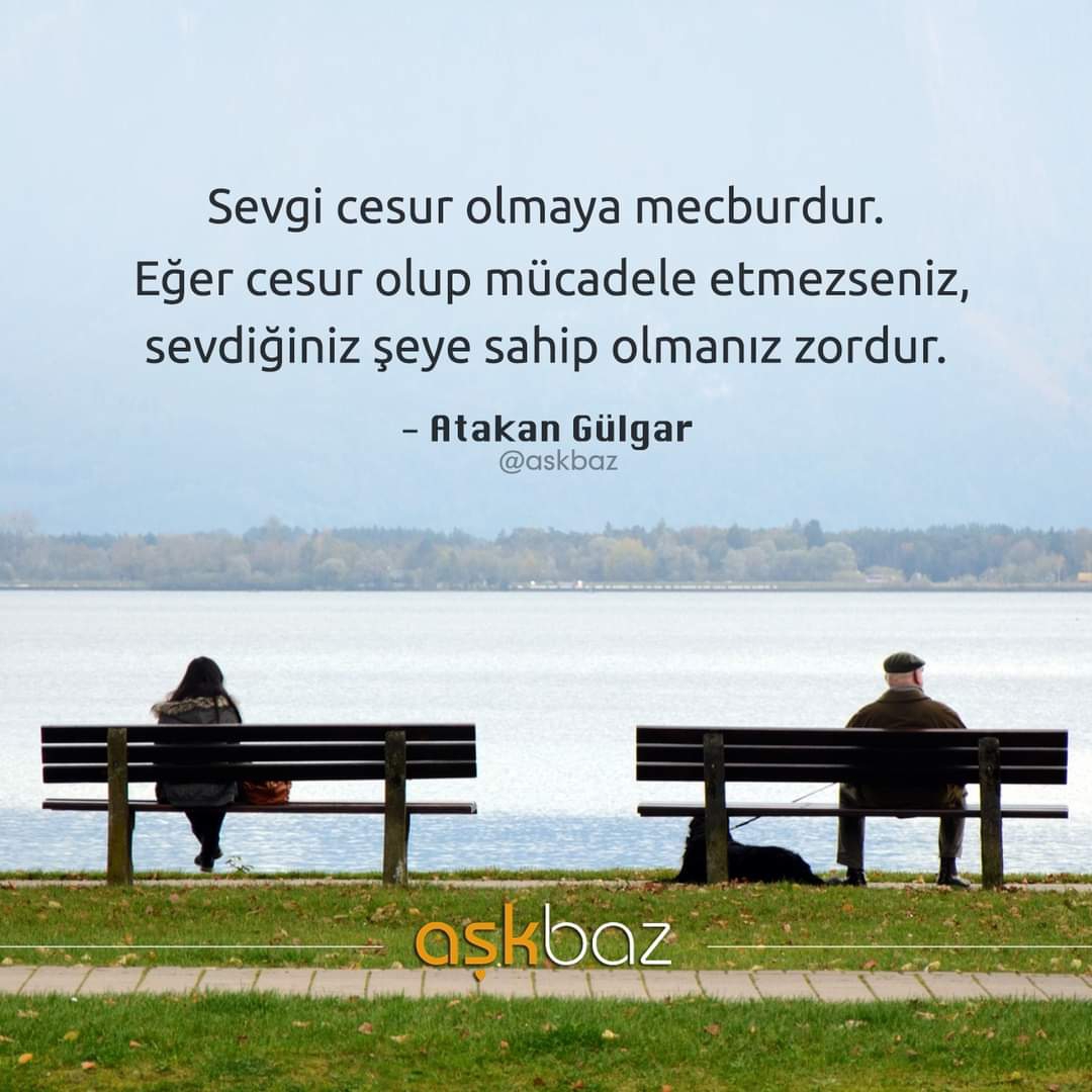 Gazel